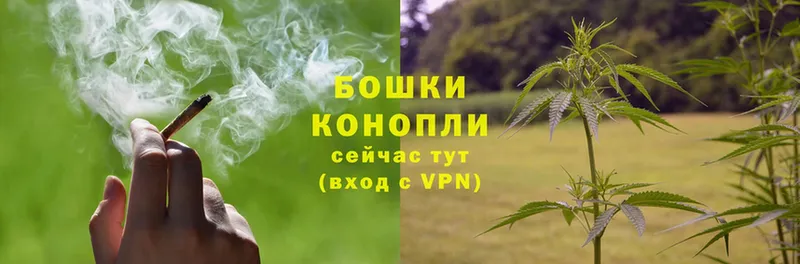 Канабис White Widow  Новосибирск 